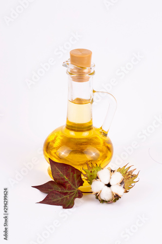 Cotton plant and cotton oil