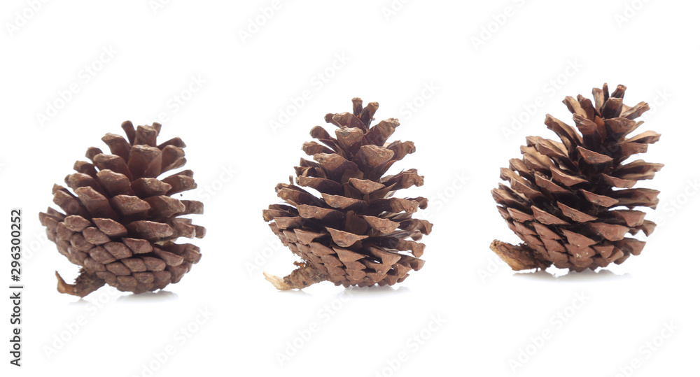 Pine cones isolated on a white background Pine cones isolated on a white background