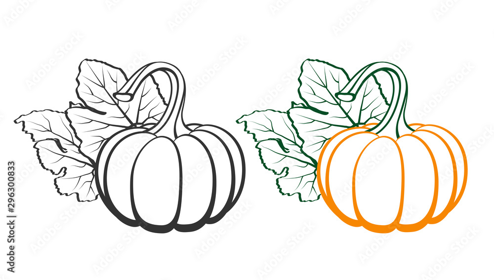 Pumpkins with leaves, silhouette on white background. Pumpkins with leaves, silhouette on white background.