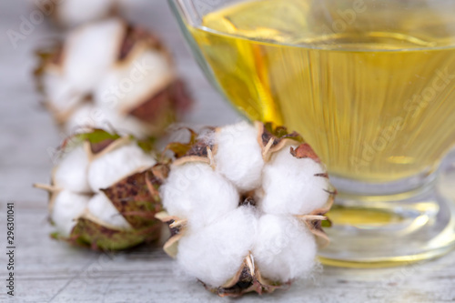 Cotton plant and cotton oil