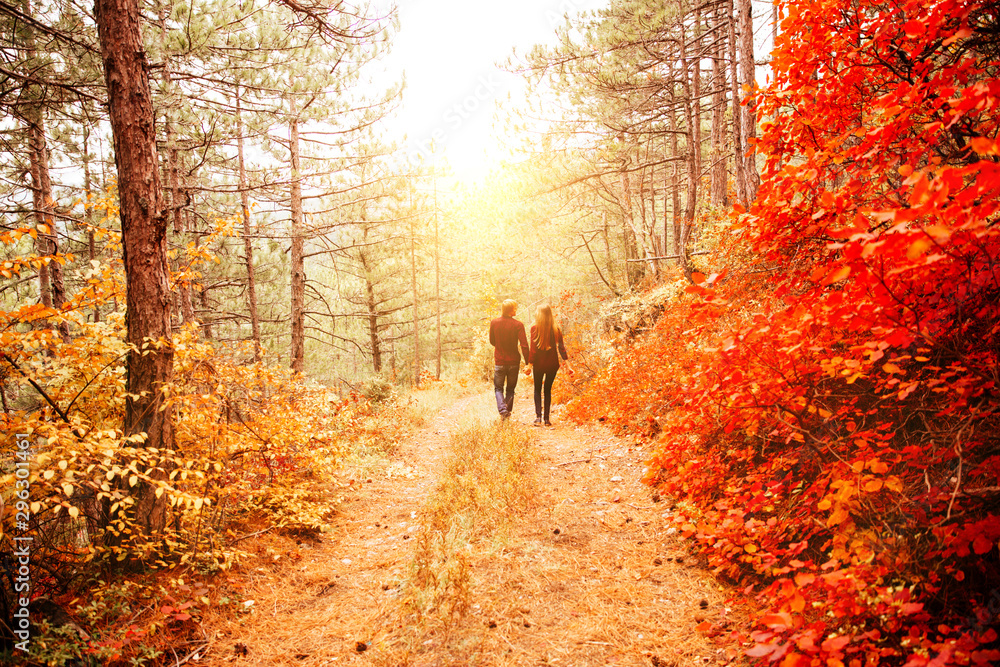Obraz premium Couple weared in autumn-style clothes sweaters family look running through the autumn landscape. Forest covered with yellow foliage. Autumn walk outdoors. Two lovers in autumn park. Romantic dating