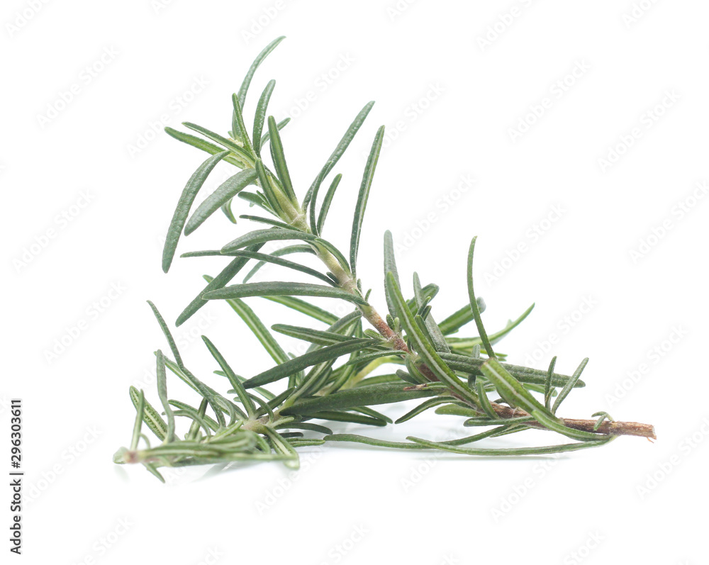 Fototapeta premium rosemary isolated on white background