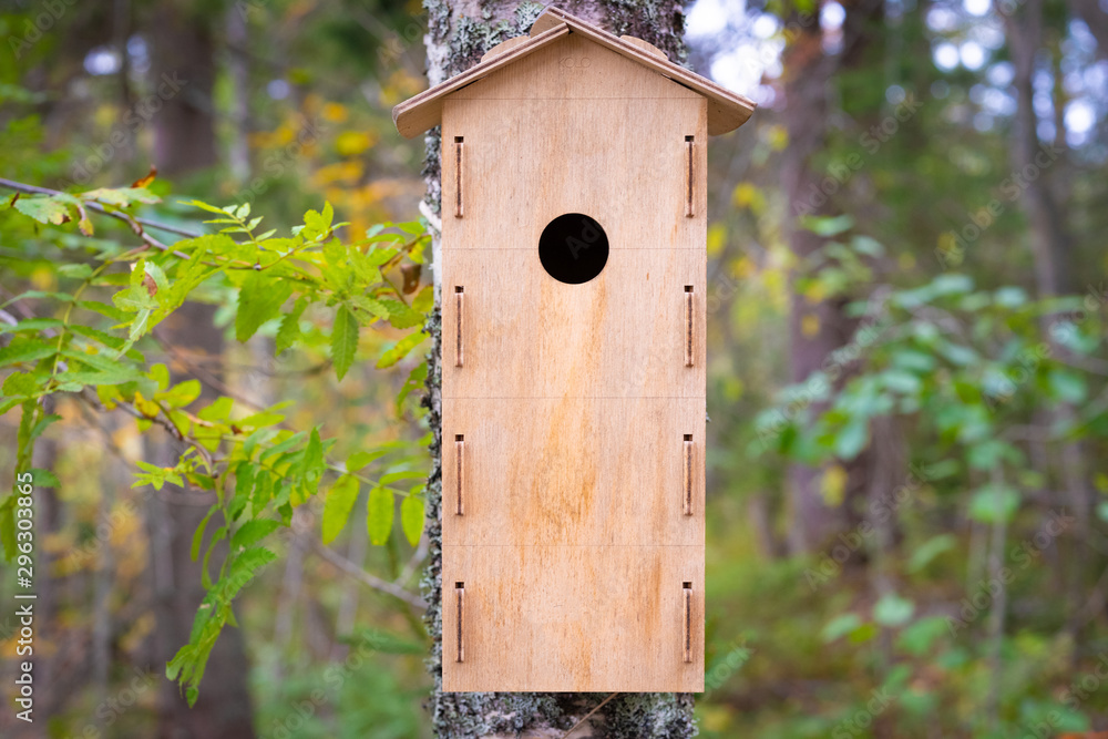 Birdhouse for forest birds on a tree