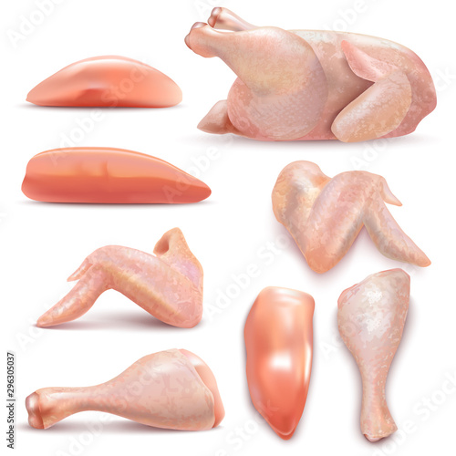 Isolated Chicken Meat Set in Realistic Style