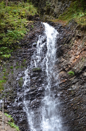 waterfall in the forest