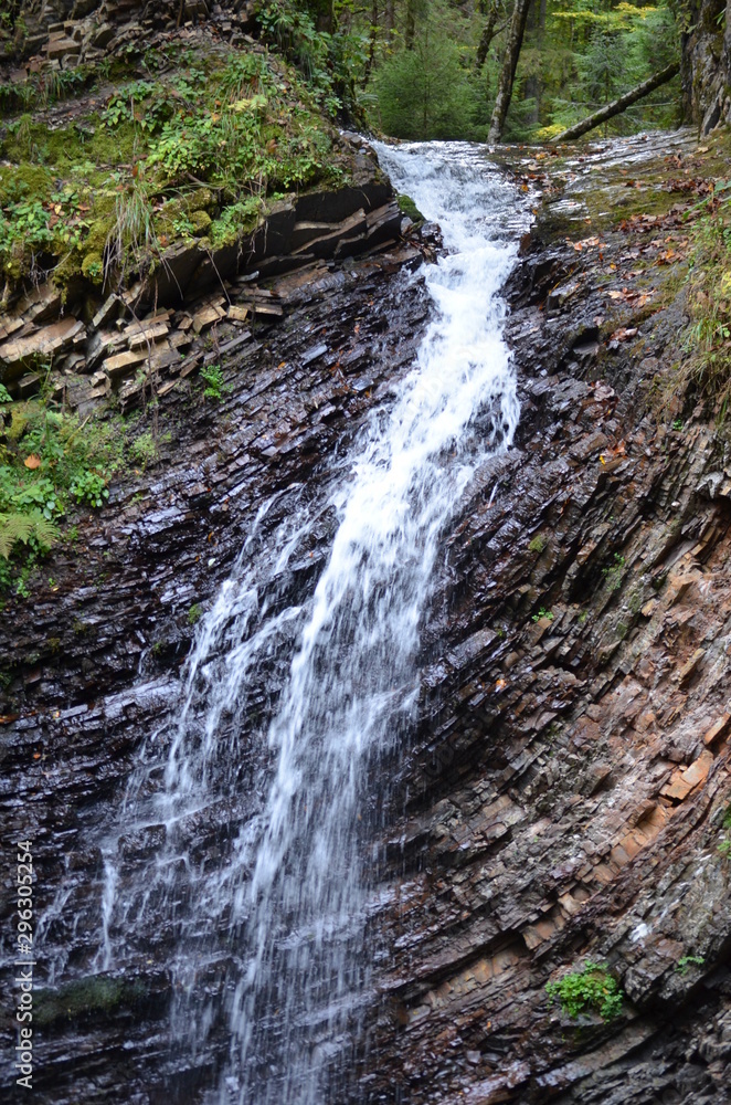 waterfall in the forest waterfall in the forest