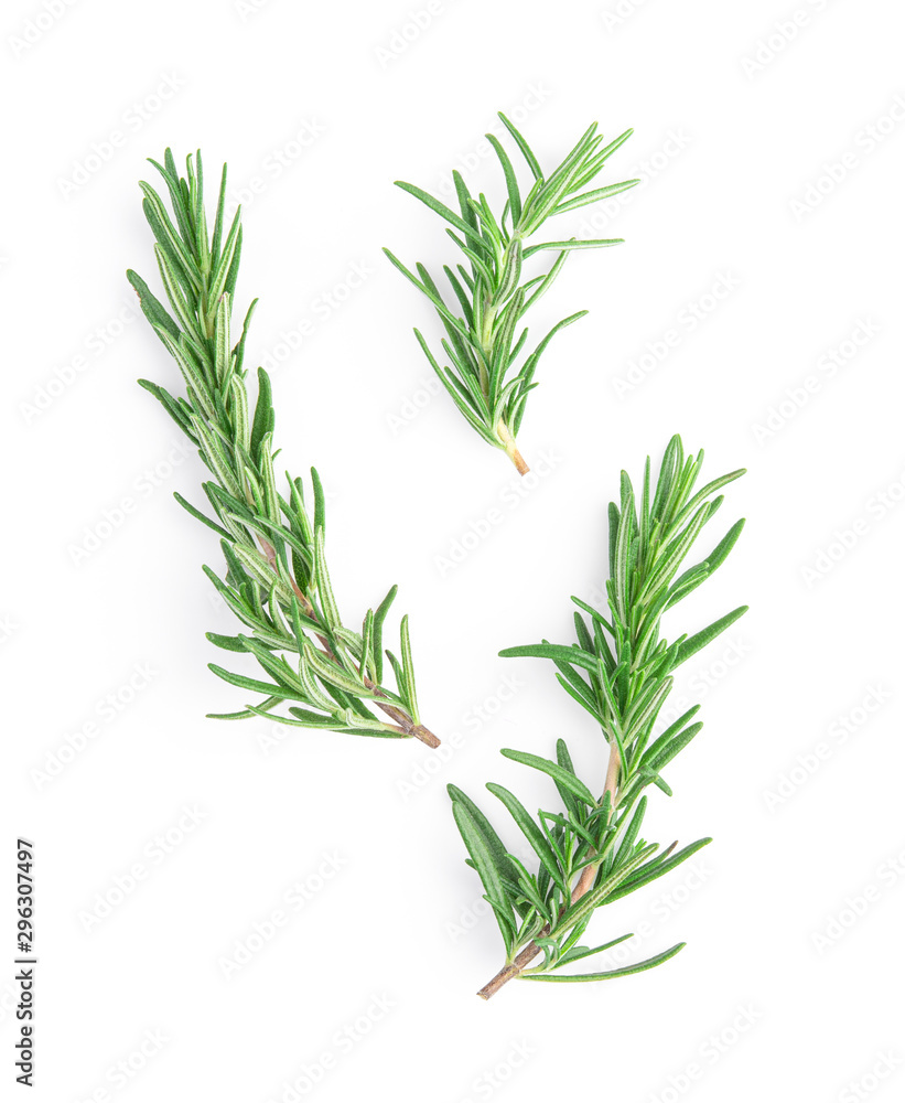Fototapeta premium Rosemary isolated on white background, Top view.