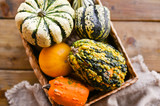 Different Thanksgiving Mini Pumpkins on a rustic wooden table. Thanksgiving concept. Autumn, Harvest wicker basket.