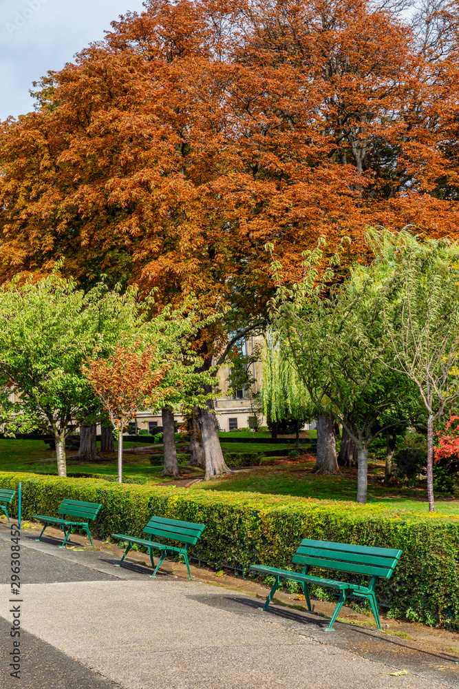 Alley in the autumn park. Colorful trees along the road with benches. Beautiful view. Vertical. Alley in the autumn park. Colorful trees along the road with benches. Beautiful view. Vertical.