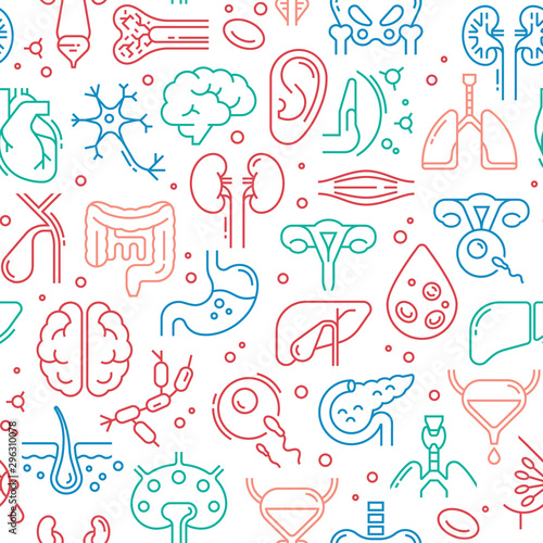 Colored seamless vector pattern on a medical theme consisting of internal human organs.
