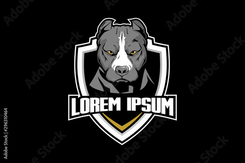 Obraz na płótnie calm pitbull head with shield logo template