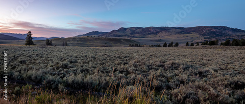 scenes around Hayden Valley in Yellowstone