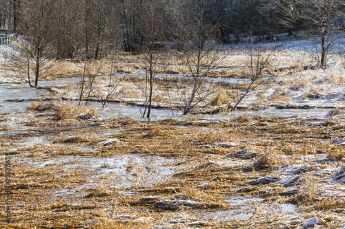 Mäander Bachlauf im Harz photo