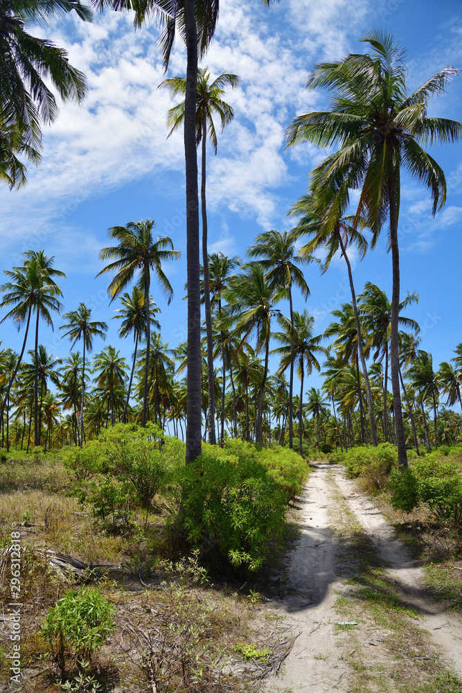 Fototapeta premium African road, Zanzibar, Tanzania, Africa