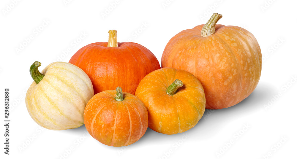 Fototapeta premium A heap of pumpkins isolated on white background.