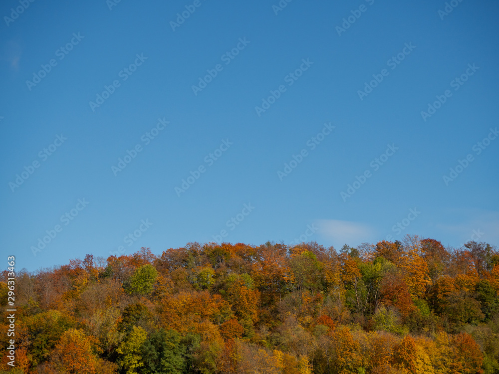 Colourful line of trees in October und large blue sky