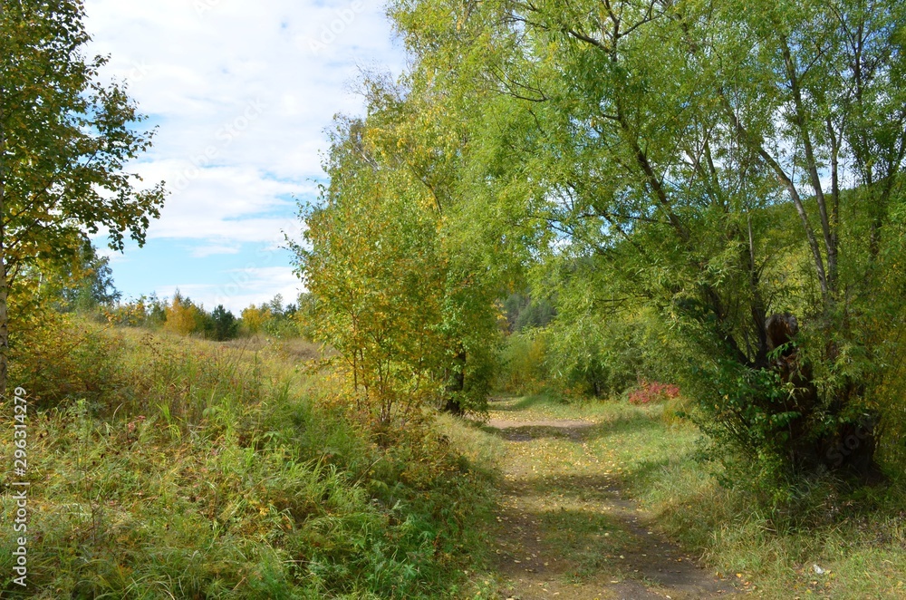 Beautiful landscape of the beginning of autumn on the river bank. Beautiful landscape of the beginning of autumn on the river bank.