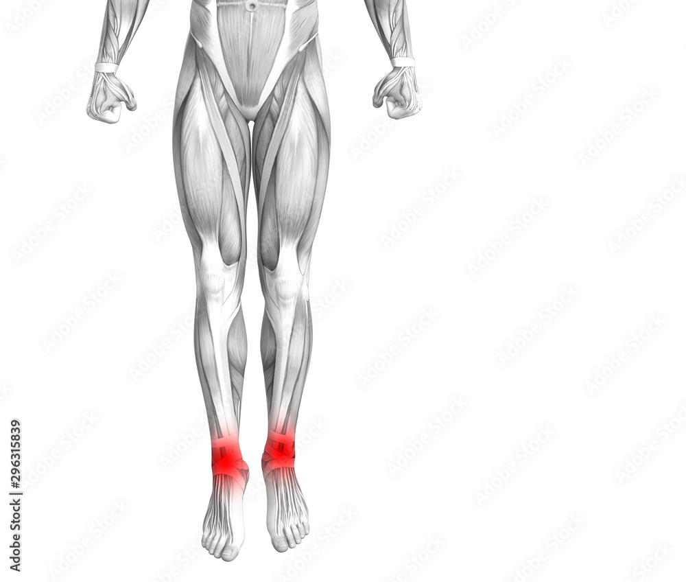 Conceptual ankle human anatomy with red hot spot inflammation or articular joint pain for leg health care therapy or sport muscle concepts. 3D illustration man arthritis or bone osteoporosis disease Conceptual ankle human anatomy with red hot spot inflammation or articular joint pain for leg health care therapy or sport muscle concepts. 3D illustration man arthritis or bone osteoporosis disease