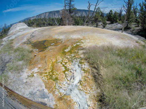 yellostone national park wyoming mammoth springs landscape photo