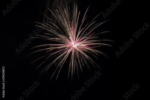 Wallpaper Mural Evening firework display at a local park. Torontodigital.ca