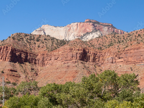 Trees dot the highest elevations in Zion National Park