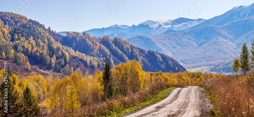 Autumn road, scenic view. Snow-capped peaks and yellow forest.