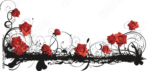 Rosas