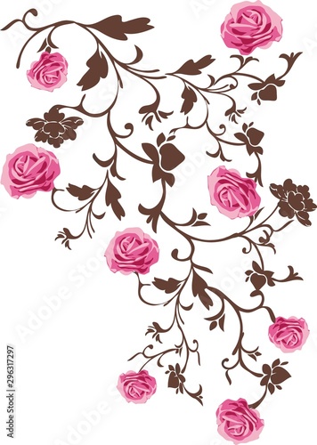 Rosas en la zarza