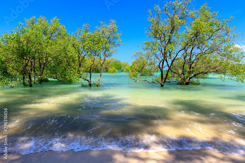 Wild tropical Thai beach