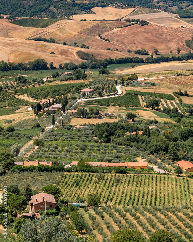 Hills With Vineyards and Crops in Montalcino Tuscany