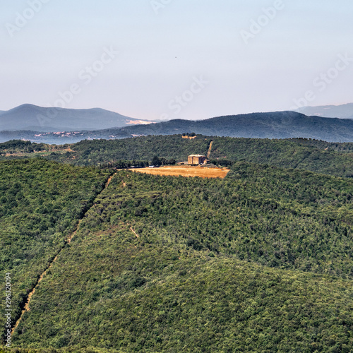 Wallpaper Mural Hills Covered with Trees in Montalcino Tuscany Torontodigital.ca