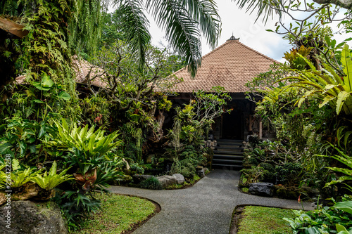 Temple in the jungle of Bali island. photo