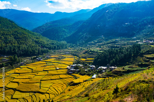 Foto Bhutan Paro Paddy field