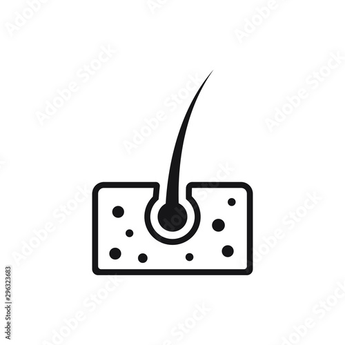 Hair in skin icon, Dermatology vector icon.