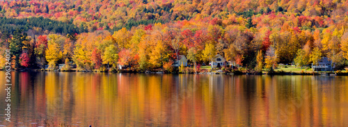 fall reflection