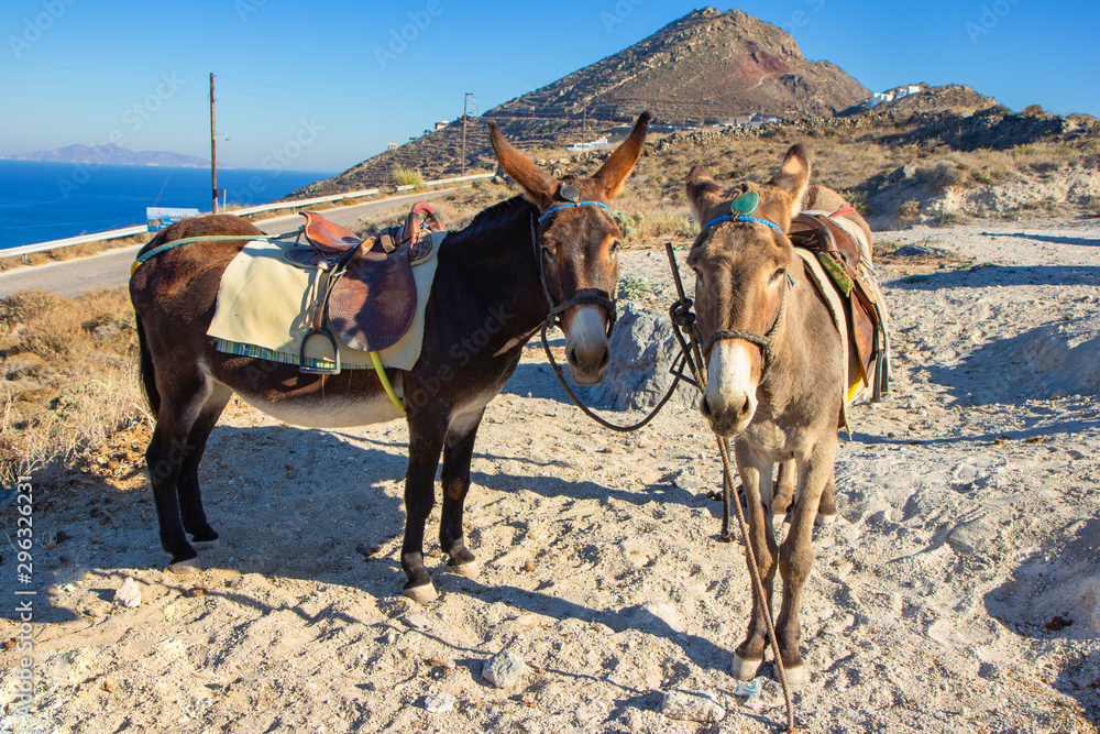 Santorini island ,  Oia , Griechenland