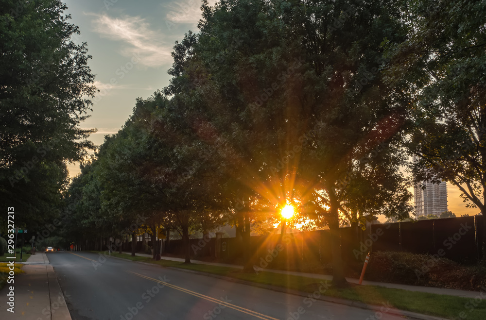 sun peeking through treeline on city street