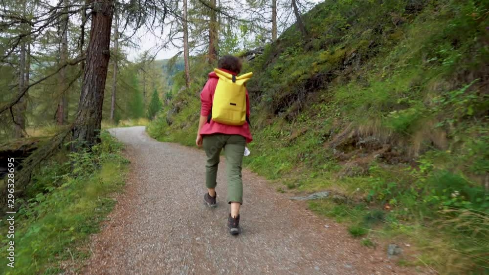 Woman Hiking in the Mountain Forest. Girl walking on Forest Road Trail. Girl Walking in the Mountain Forest Trail Woman Hiking in the Mountain Forest. Girl walking on Forest Road Trail. Girl Walking in the Mountain Forest Trail