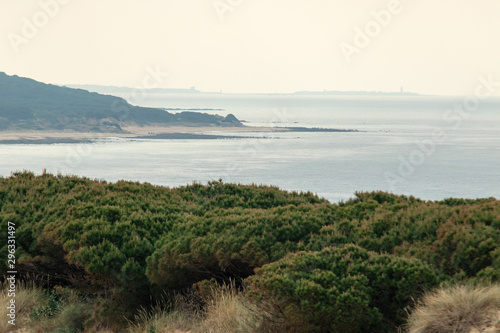 Wallpaper Mural Duna de Bolonia, Spain Torontodigital.ca