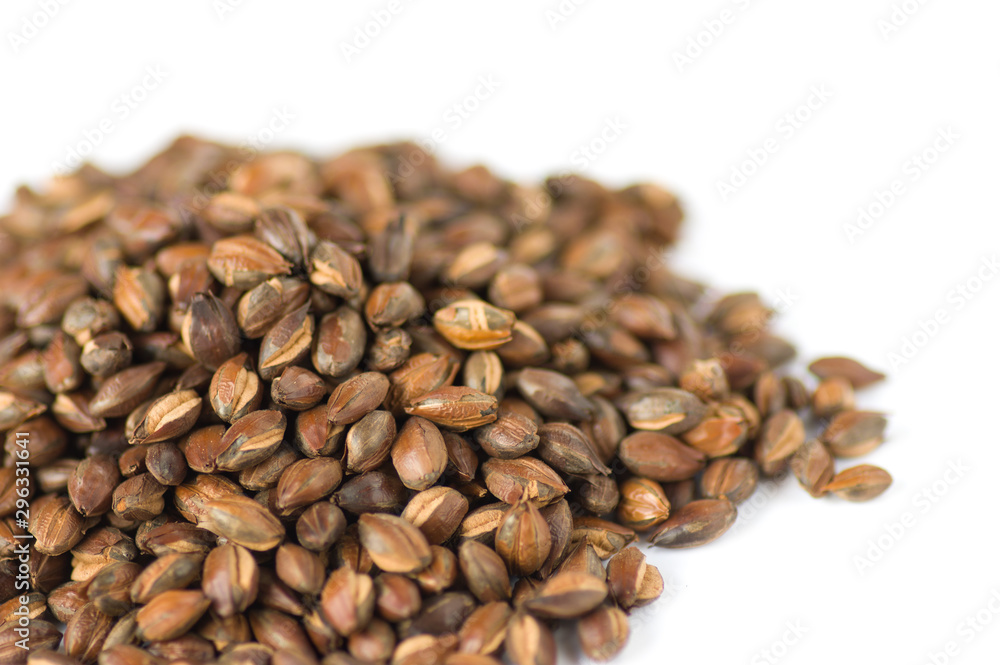 麦茶 麦茶