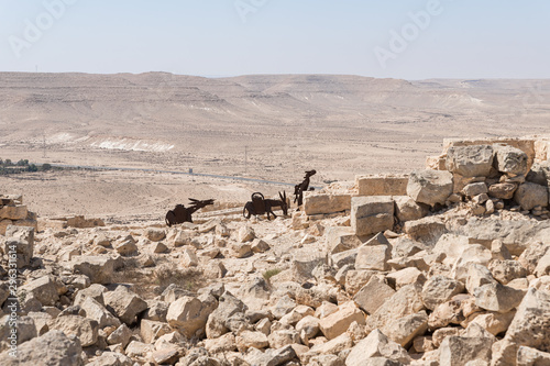Fotografia Silhouettes of drover and donkeys near ruins of the Nabataean city of Avdat, located on the incense road in the Judean desert in Israel