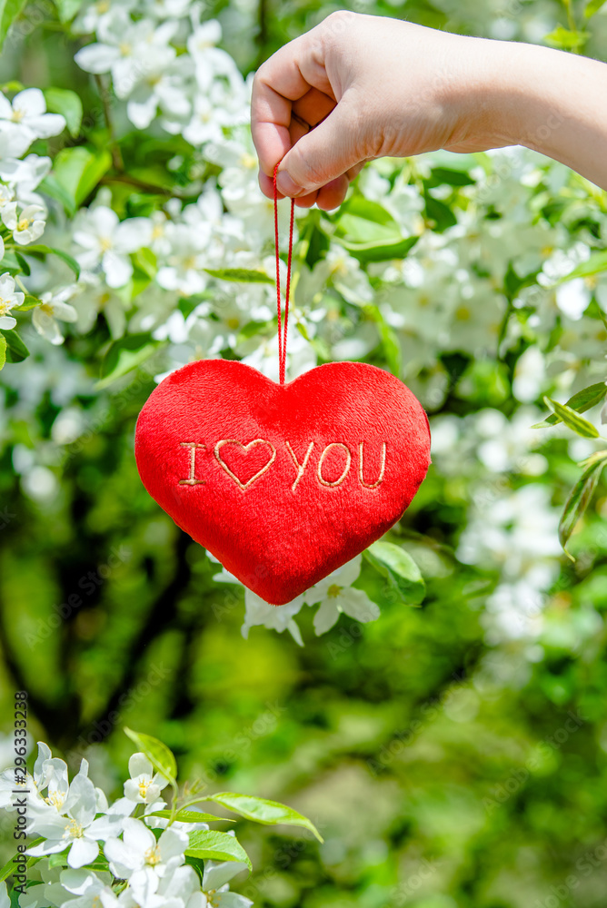 Girl holding a heart on a background of appletree blossoms Girl holding a heart on a background of appletree blossoms