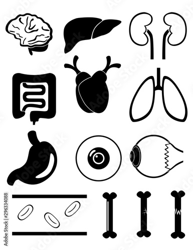 イラスト　アイコン　脳　肝臓　腎臓　腸　心臓　胃　肺　目　眼球　骨　血液　内臓