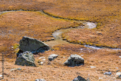 creek bend in a alpine moor at Val Fex photo