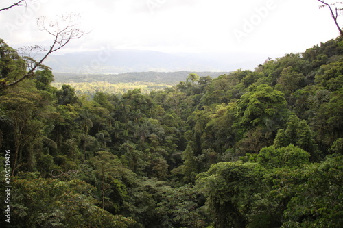 Trouée sur la jungle