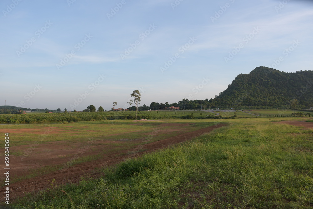 landscape with green field and blue sky landscape with green field and blue sky