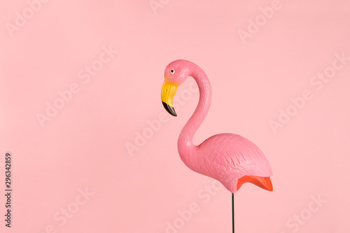 pink flamingo on a pink background photo