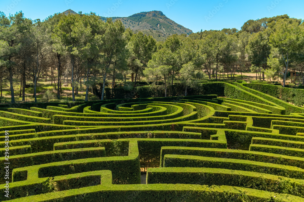 Shrub green labyrinth in Tentegorra, Spain