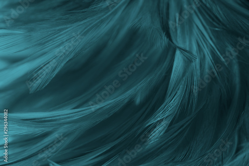 Beautiful macro close up dark green blue azure feather pattern texture background