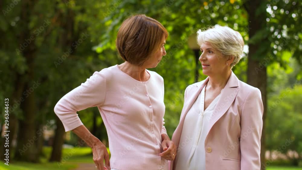 technology, old age and people concept - happy senior women or female friends taking selfie by smartphone at summer park technology, old age and people concept - happy senior women or female friends taking selfie by smartphone at summer park
